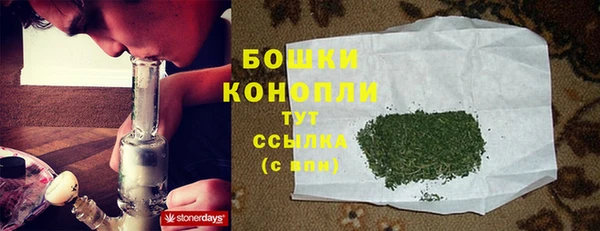 крисы Архангельск