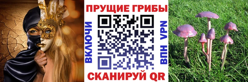 нарко площадка Telegram  Билибино  Галлюциногенные грибы ЛСД  mega как зайти 