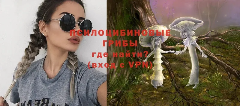 Галлюциногенные грибы Psilocybe  купить наркотик  Билибино 